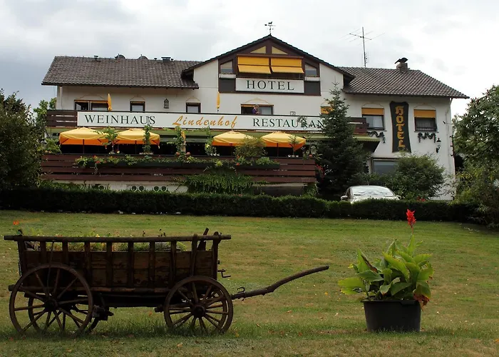 Hotel Hotel-restaurant Lindenhof Kreuzwertheim