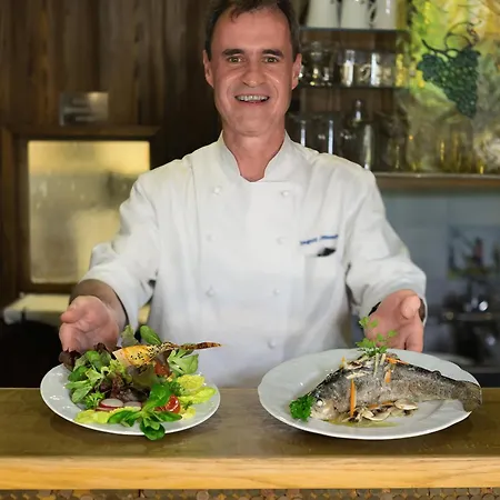 Hotel Hotel-restaurant Lindenhof