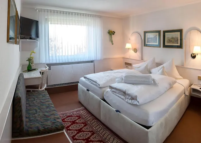 Hotel Hotel-restaurant Lindenhof Kreuzwertheim